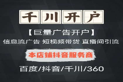 竞价广告在XX行业的成功应用案例
