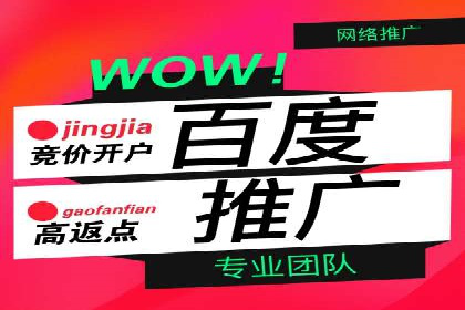 SEM推广实战：成功案例解读与策略调整